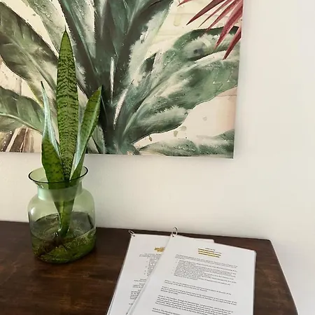 Apartamento Delfines 61 Corralejo