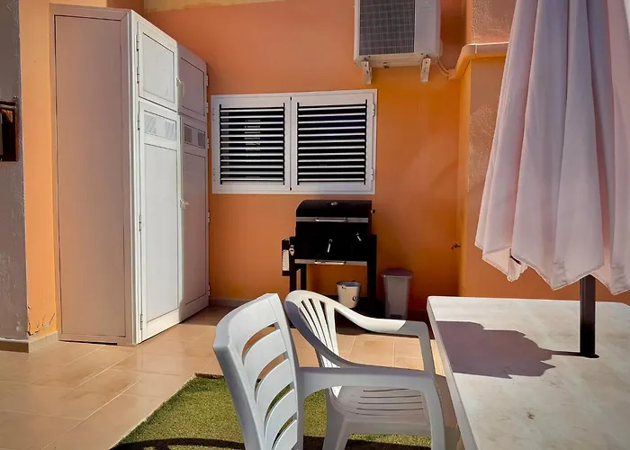 Delfines 61 * كوراليهو